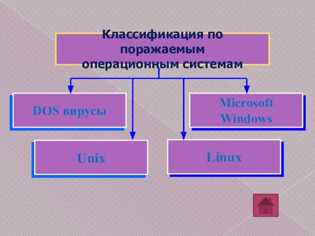 Microsoft Windows Классификация по поражаемым операционным системам DOS вирусы Linux Unix