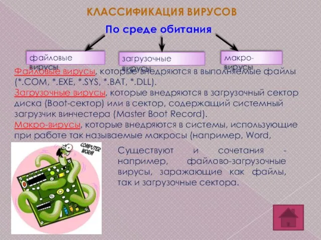 КЛАССИФИКАЦИЯ ВИРУСОВ По среде обитания файловые вирусы загрузочные вирусы макро-вирусы Файловые вирусы,