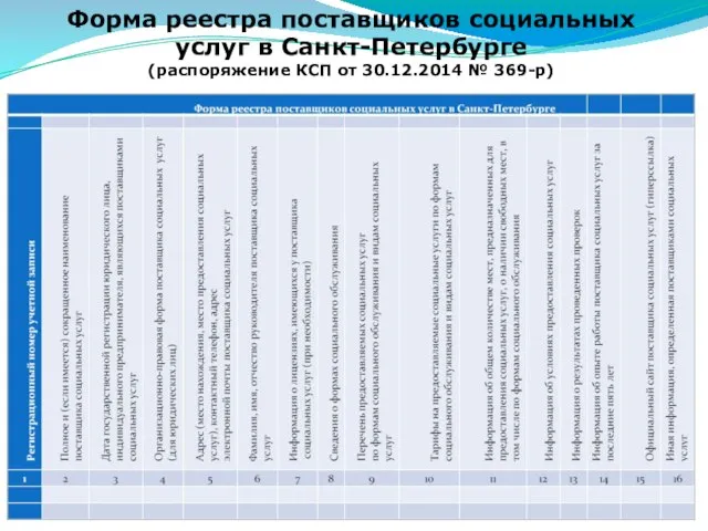 Форма реестра поставщиков социальных услуг в Санкт-Петербурге (распоряжение КСП от 30.12.2014 № 369-р)