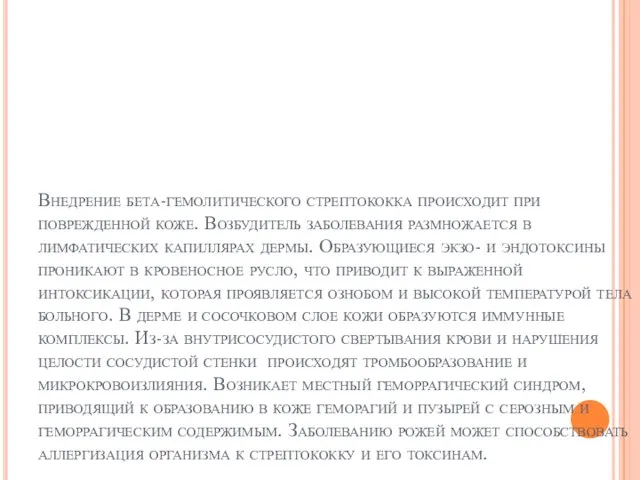 Внедрение бета-гемолитического стрептококка происходит при поврежденной коже. Возбудитель заболевания размножает­ся в лимфатических