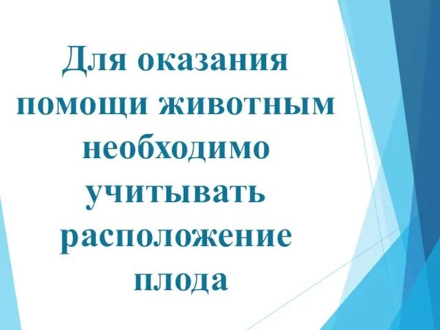 Для оказания помощи животным необходимо учитывать расположение плода