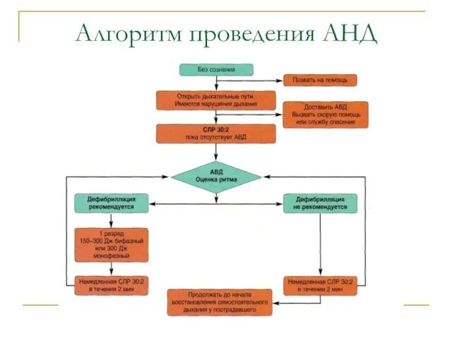 Алгоритм проведения АНД