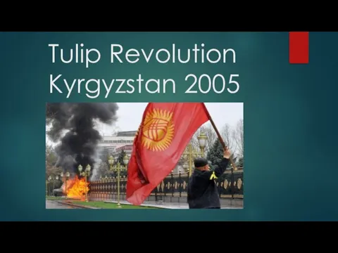 Tulip Revolution Kyrgyzstan 2005
