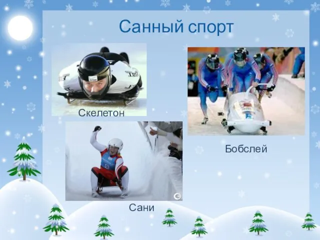 Санный спорт