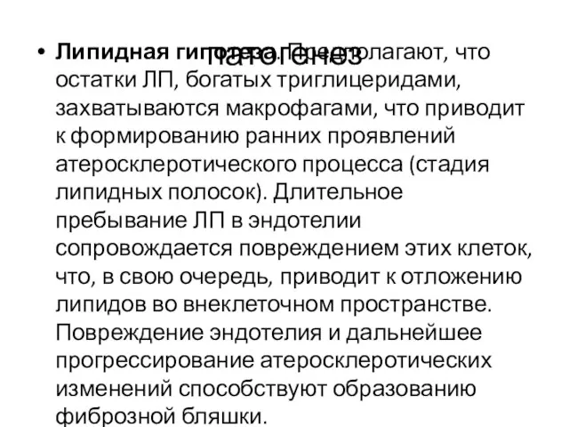 патогенез Липидная гипотеза. Предполагают, что остатки ЛП, богатых триглицеридами, захватываются макрофагами, что