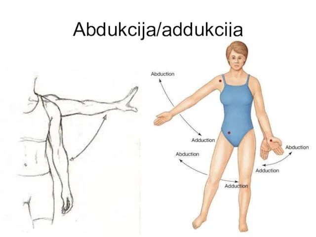 Abdukcija/addukcija