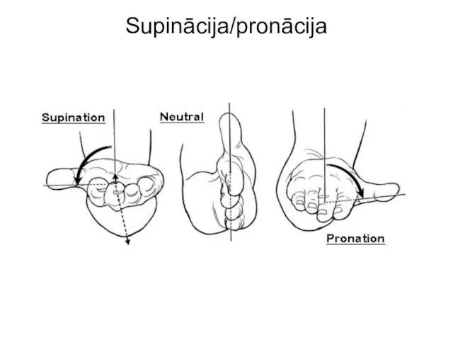 Supinācija/pronācija