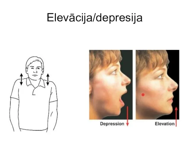 Elevācija/depresija