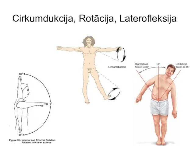 Cirkumdukcija, Rotācija, Laterofleksija