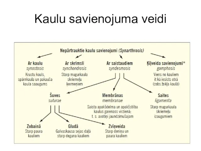 Kaulu savienojuma veidi