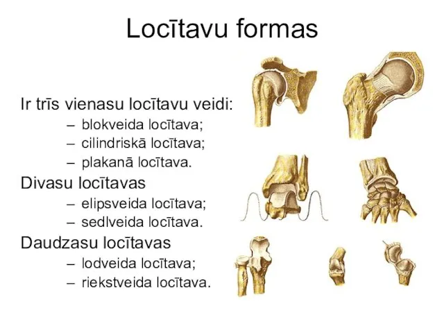 Ir trīs vienasu locītavu veidi: blokveida locītava; cilindriskā locītava; plakanā locītava. Divasu