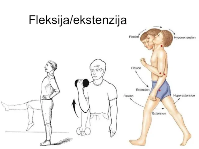 Fleksija/ekstenzija