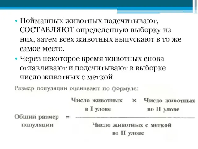 Пойманных животных подсчитывают, СОСТАВЛЯЮТ определенную выборку из них, затем всех животных выпускают