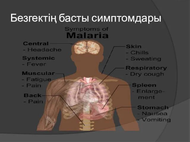 Безгектің басты симптомдары