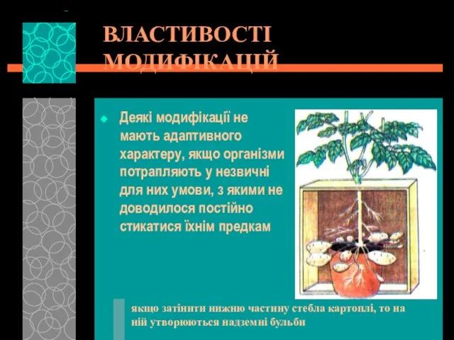 ВЛАСТИВОСТІ МОДИФІКАЦІЙ Деякі модифікації не мають адаптивного характеру, якщо організми потрапляють у