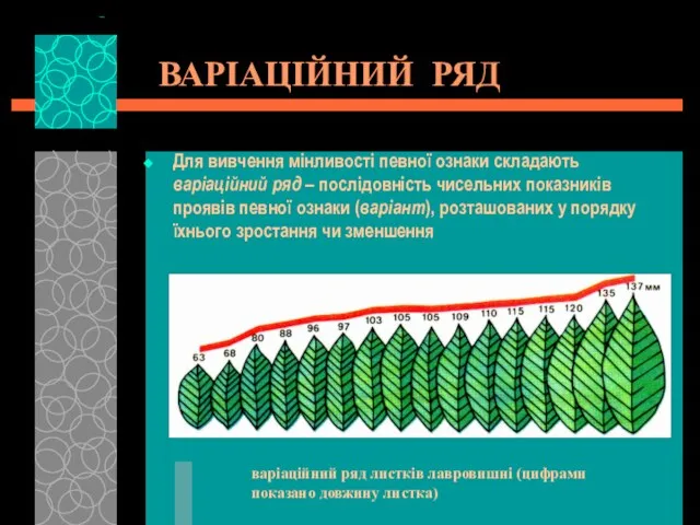 ВАРІАЦІЙНИЙ РЯД Для вивчення мінливості певної ознаки складають варіаційний ряд – послідовність