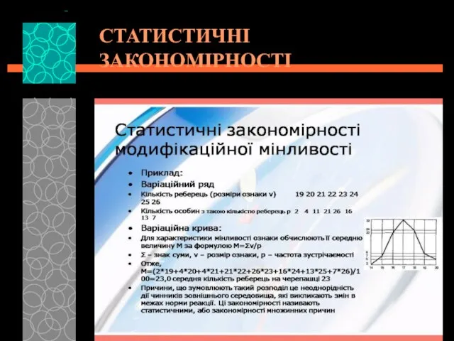 СТАТИСТИЧНІ ЗАКОНОМІРНОСТІ