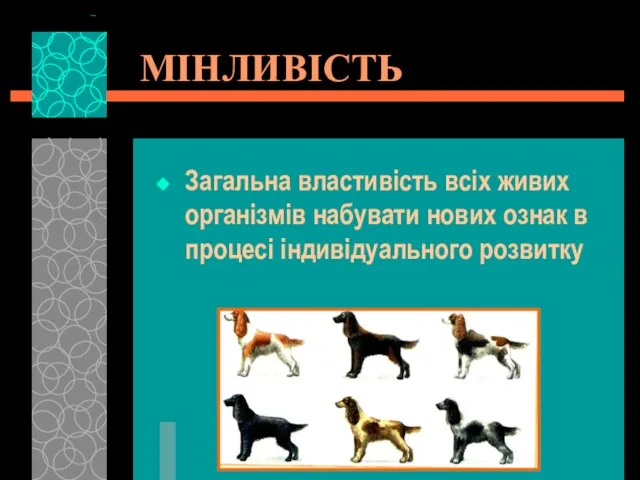 МІНЛИВІСТЬ Загальна властивість всіх живих організмів набувати нових ознак в процесі індивідуального розвитку