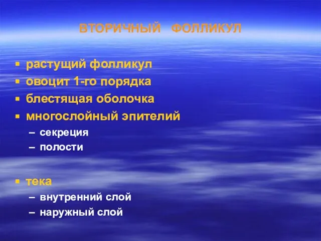 ВТОРИЧНЫЙ ФОЛЛИКУЛ растущий фолликул овоцит 1-го порядка блестящая оболочка многослойный эпителий секреция