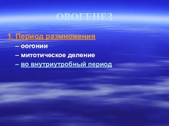 ОВОГЕНЕЗ 1. Период размножения оогонии митотическое деление во внутриутробный период