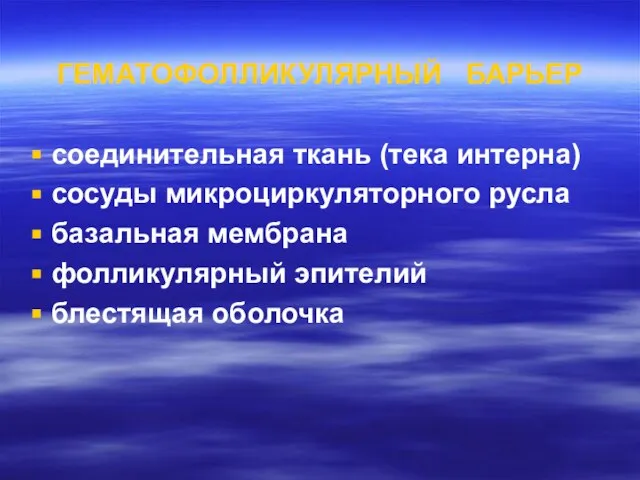 ГЕМАТОФОЛЛИКУЛЯРНЫЙ БАРЬЕР соединительная ткань (тека интерна) сосуды микроциркуляторного русла базальная мембрана фолликулярный эпителий блестящая оболочка