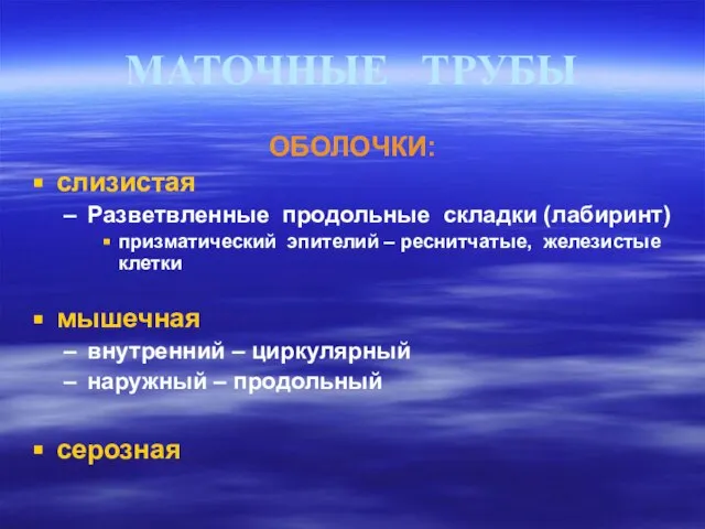 МАТОЧНЫЕ ТРУБЫ ОБОЛОЧКИ: слизистая Разветвленные продольные складки (лабиринт) призматический эпителий – реснитчатые,