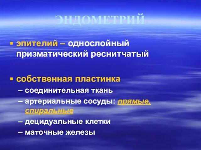 ЭНДОМЕТРИЙ эпителий – однослойный призматический реснитчатый собственная пластинка соединительная ткань артериальные сосуды: