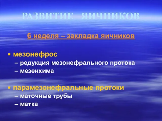 РАЗВИТИЕ ЯИЧНИКОВ 6 неделя – закладка яичников мезонефрос редукция мезонефрального протока мезенхима