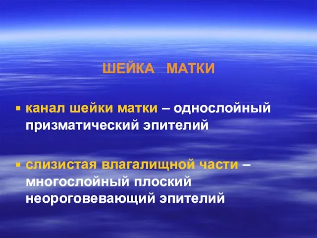 ШЕЙКА МАТКИ канал шейки матки – однослойный призматический эпителий слизистая влагалищной части