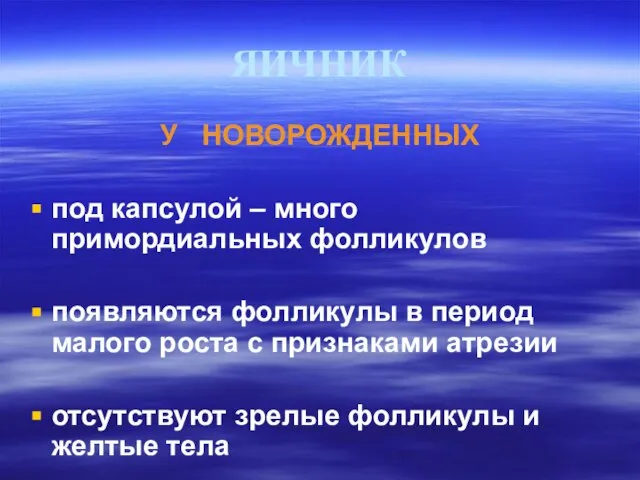 ЯИЧНИК У НОВОРОЖДЕННЫХ под капсулой – много примордиальных фолликулов появляются фолликулы в