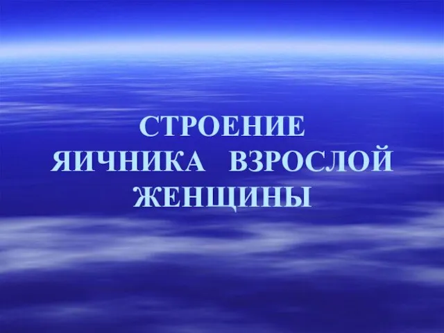 СТРОЕНИЕ ЯИЧНИКА ВЗРОСЛОЙ ЖЕНЩИНЫ