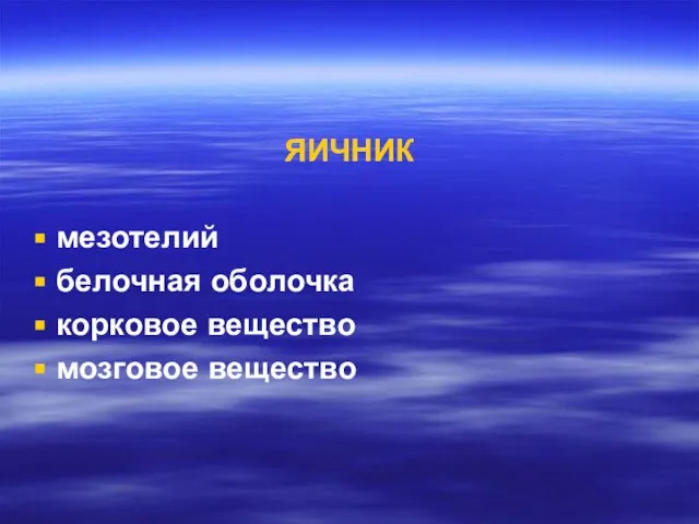 ЯИЧНИК мезотелий белочная оболочка корковое вещество мозговое вещество