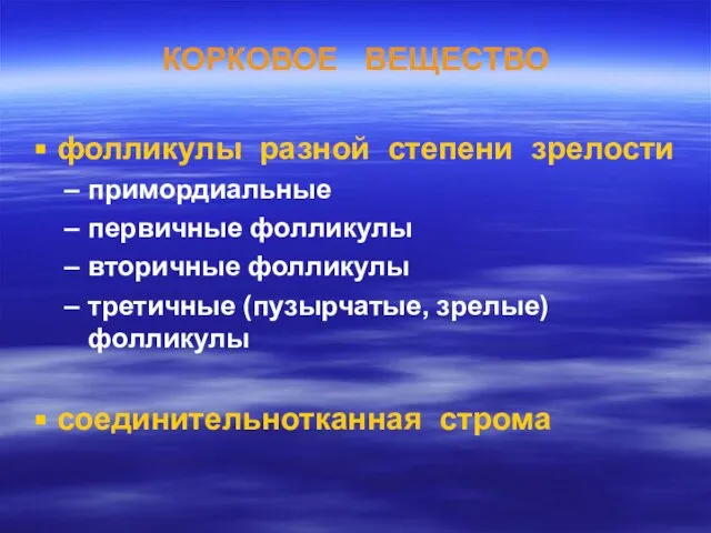 КОРКОВОЕ ВЕЩЕСТВО фолликулы разной степени зрелости примордиальные первичные фолликулы вторичные фолликулы третичные