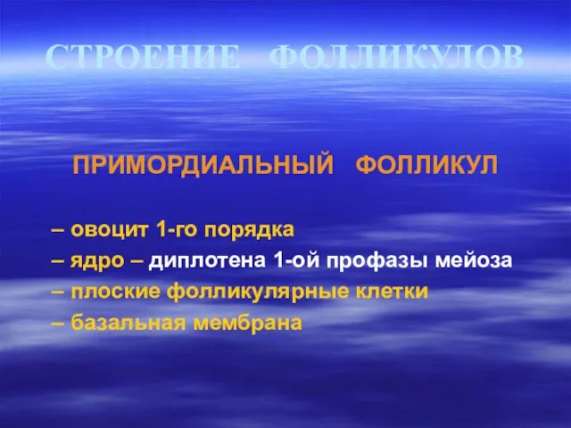 СТРОЕНИЕ ФОЛЛИКУЛОВ ПРИМОРДИАЛЬНЫЙ ФОЛЛИКУЛ овоцит 1-го порядка ядро – диплотена 1-ой профазы