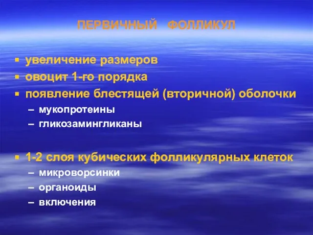 ПЕРВИЧНЫЙ ФОЛЛИКУЛ увеличение размеров овоцит 1-го порядка появление блестящей (вторичной) оболочки мукопротеины