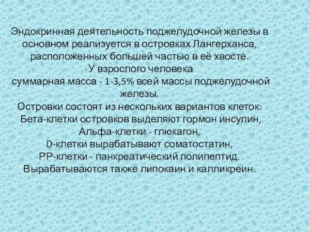 Эндокринная деятельность поджелудочной железы в основном реализуется в островках Лангерханса, расположенных большей