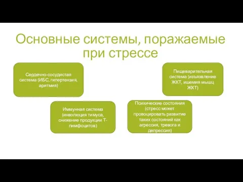 Основные системы, поражаемые при стрессе Сердечно-сосудистая система (ИБС, гипертензия, аритмия) Иммунная система