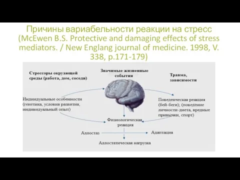 Причины вариабельности реакции на стресс (McEwen B.S. Protective and damaging effects of