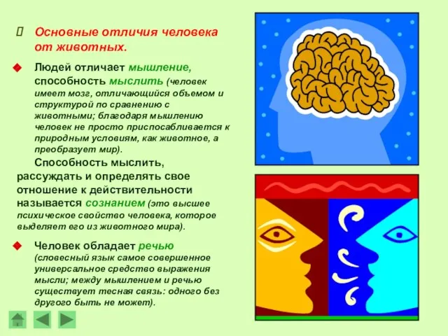 Основные отличия человека от животных. Людей отличает мышление, способность мыслить (человек имеет