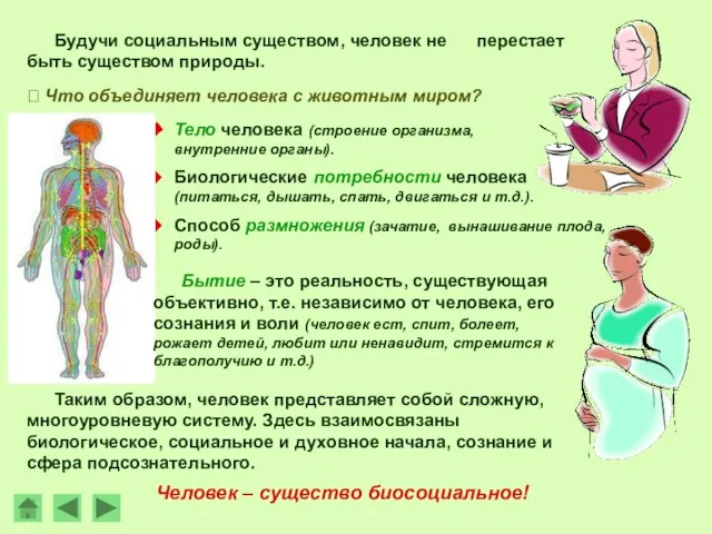 Тело человека (строение организма, внутренние органы). ? Что объединяет человека с животным