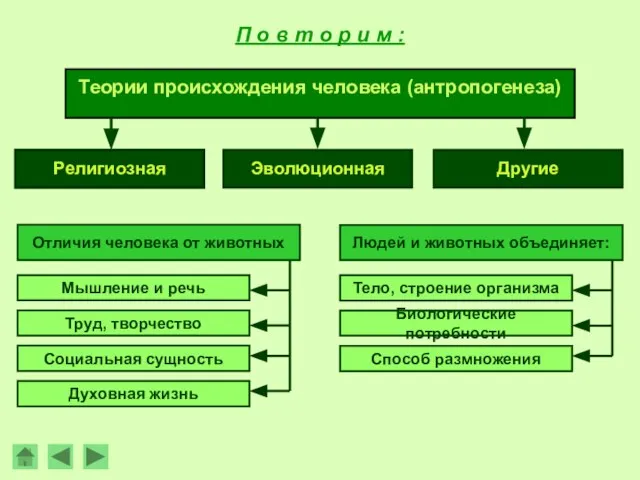 П о в т о р и м : Отличия человека от