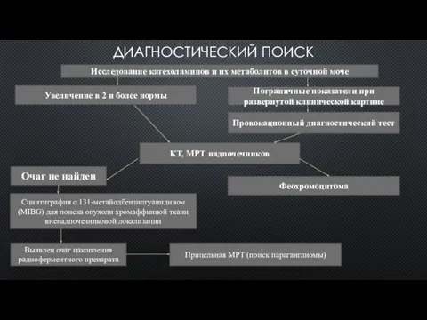 ДИАГНОСТИЧЕСКИЙ ПОИСК Исследование катехоламинов и их метаболитов в суточной моче Увеличение в