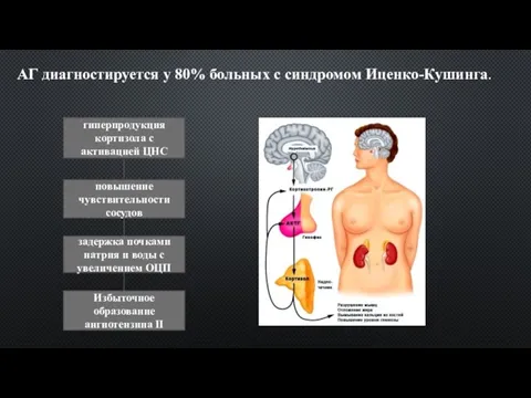 гиперпродукция кортизола с активацией ЦНС повышение чувствительности сосудов задержка почками натрия и