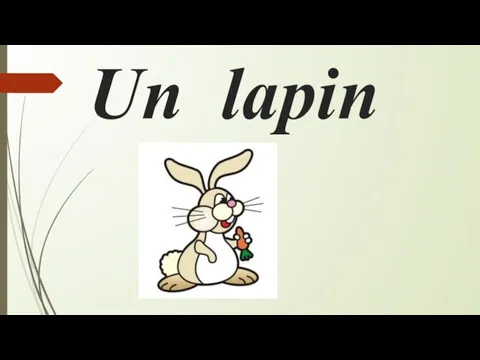 Un lapin