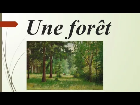 Une forêt