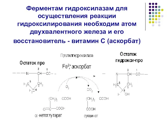 Ферментам гидроксилазам для осуществления реакции гидроксилирования необходим атом двухвалентного железа и его