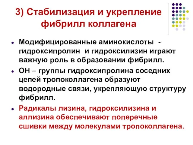 3) Стабилизация и укрепление фибрилл коллагена Модифицированные аминокислоты - гидроксипролин и гидроксилизин