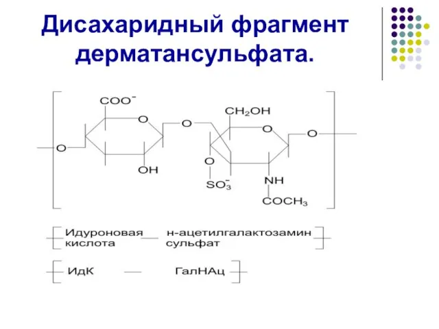 Дисахаридный фрагмент дерматансульфата.