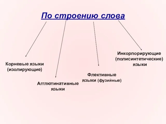 По строению слова Корневые языки (изолирующие) Агглютинативные языки Флективные языки (фузийные) Инкорпорирующие (полисинтетические) языки