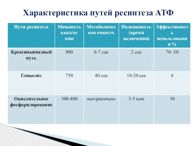 Характеристика путей ресинтеза АТФ